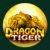 Dragon Tiger